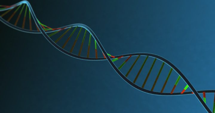 Badania autosomalnego DNA dla genelogów.